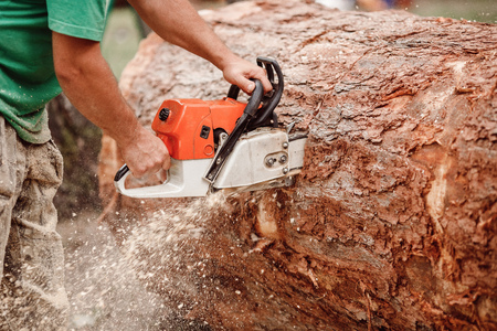 Close-up of woodcutter lumberjack is man chainsaw tree.の写真素材