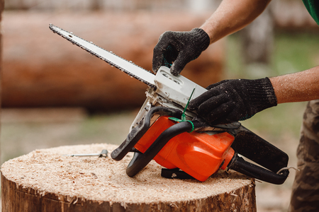 Woodcutter man repairs chainsaw, sharpens chain in forestの写真素材