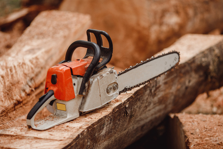 Close-up of chainsaw lies on sawn wood sawmill. Concept logging industryの写真素材