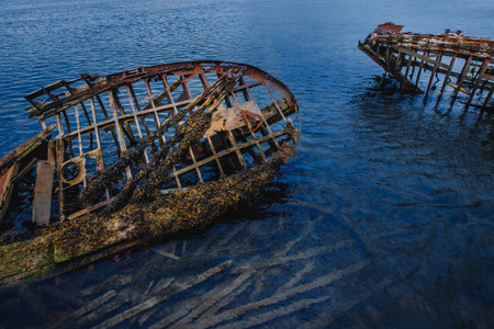 Cemetery of wooden ships pirates and fish-owners, skeletons. Teriberka, Russia.