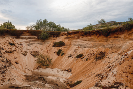 Close-up ground slice with clay sandy earth field.の写真素材