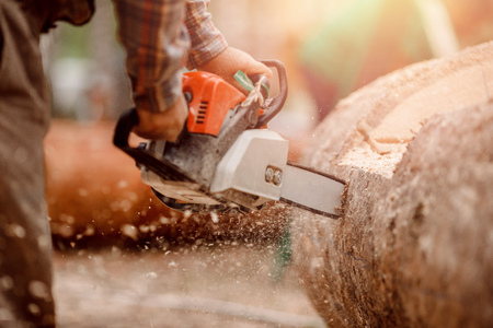 Close-up of woodcutter lumberjack is man chainsaw tree.の写真素材