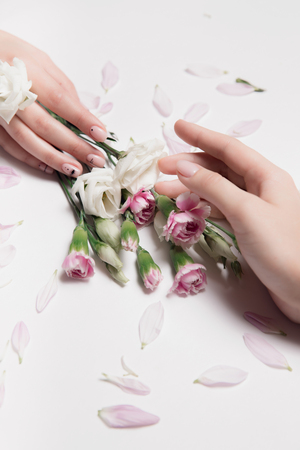 Anti-aging cream, anti-wrinkle skin care. Beautiful female hands are holding flowers on white background.の写真素材