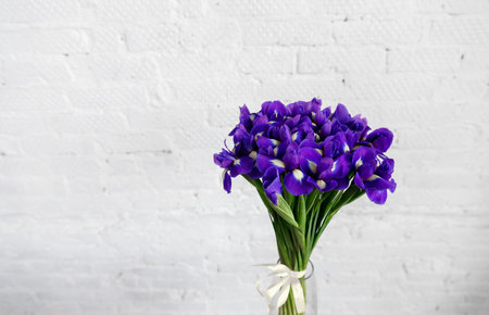 Bouquet of flowers iris on white brick wall background. Space for text.