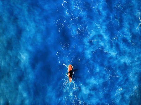 Top view of surfer in black wetsuit on red Board, turquoise sea water. Active sport