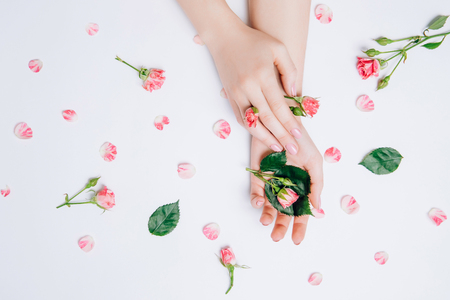 Close-up beautiful sophisticated female hands with pink flowers on white background. Concept hand care, anti-wrinkles, anti-aging cream, spa.の写真素材