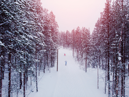 Skier cross-country skiing in snow forest. Winter competition concept. Aerial top view.の写真素材