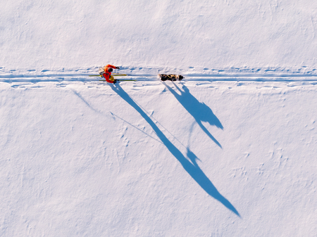 Cross country skiing on track with dog malamute. Concept winter holiday. Aerial top view.の写真素材