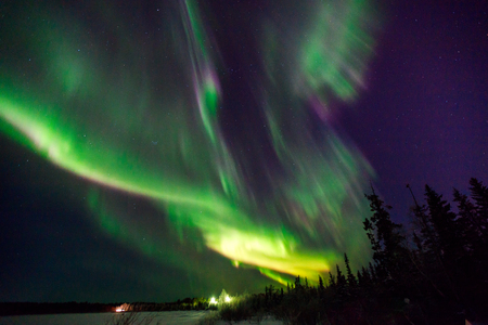 Fantastic northern lights over snow covered forest.の写真素材