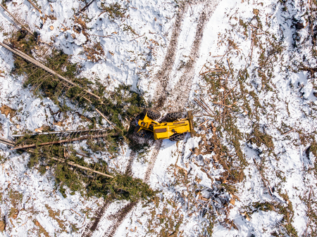 Lumberjack timber with modern harvester working in forest. Top view aerial photo.の写真素材