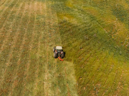 Tractor removes green grass from field, concept of harvesting silage and hay for cows. Aerial top...