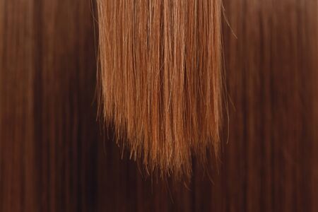 Rough cut of greasy at roots brittle split ends, after polishing close up. Hair beauty conceptの写真素材