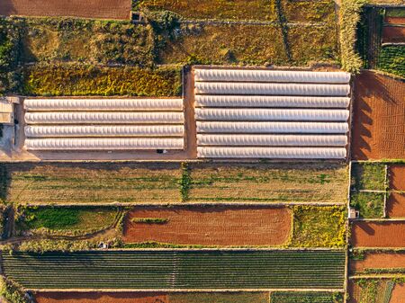 Fields for planting green, yellow, greenhouses growing tomatoes and strawberries. Aerial top viewの写真素材
