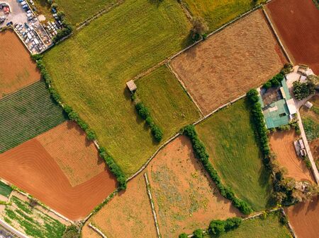 Fields for planting green, yellow, greenhouses growing tomatoes and strawberries. Aerial top viewの写真素材