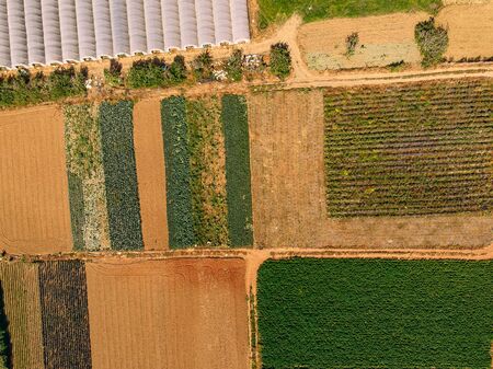 Fields for planting green, yellow, greenhouses growing tomatoes and strawberries. Aerial top viewの写真素材