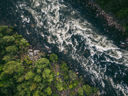 Mountain river with rapids and waterfalls coniferous forest in summer. Aerial top view