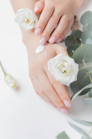 Woman applying hand cream flowers eucalyptus on white background, top view. Concept cosmetic body care, anti-wrinkles, anti-aging spa.の写真素材