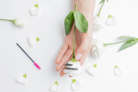 Hands girl master eyelash extension on white flowers background with pink brush, top view. Beauty concept.の写真素材