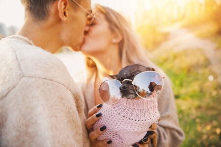 Loving couple holds small terrier dog in round shaped sunglasses, hugging and kissing against backdrop autumn park.の写真素材