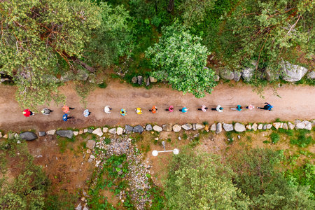 Nordic walking, senior active elderly people involved in sports go outdoor park. Aerial top view