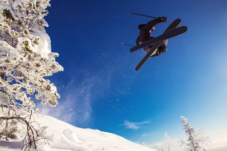 Skier jumps in fresh snow freeride in mountains against background forest. Extreme sport conceptの写真素材