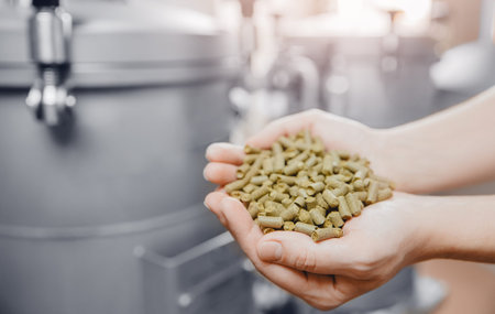 Hop dried granules addition into beer in hand. Brewing concept