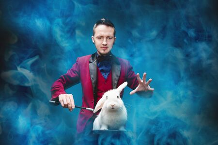 Magician shows trick with disappearance white rabbit in suitcase magic wand, black backgroundの写真素材