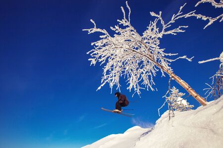 Skier jumps in fresh snow freeride in mountains against background forestの写真素材