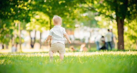 Baby boy back in shorts and white shirt leave park on green grass. Copy space.の写真素材