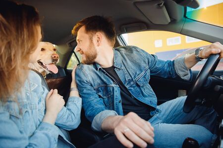 Couple of men and women take Labrador dog from shelter, sit in car and go home. Concept travelの写真素材