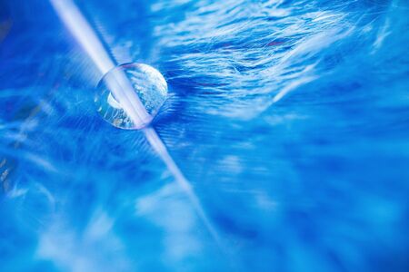 Transparent drop of water on blue feather of bird with soft light, turquoise color, rain natural backgroundの写真素材
