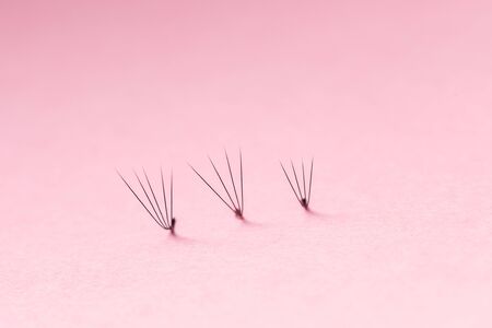 Bunches of fake lashes on pink background. Eyelash extension procedureの写真素材