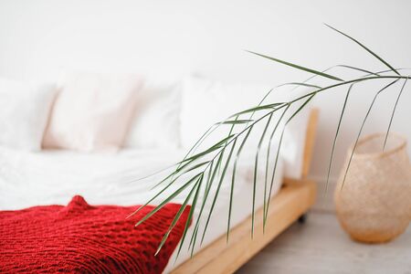 Minimalism Scandinavian style bedroom with white walls and garland on wall with room palm.の写真素材