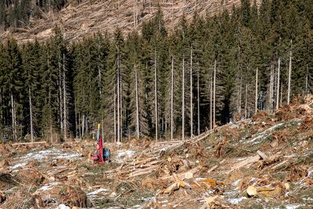 Work harvester stacked wood logs tree background blue sky. Concept lumber timber industry deforestation.の写真素材