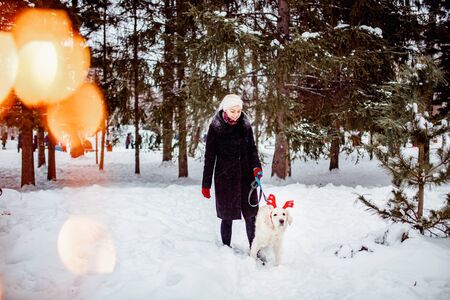 Girl walks with Labrador Retriever through forest, dog with deer horns. Christmas walk conceptの写真素材