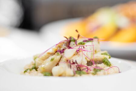 Chef food decorates with microgreens sprouts fish dish. Concept high art cookingの写真素材