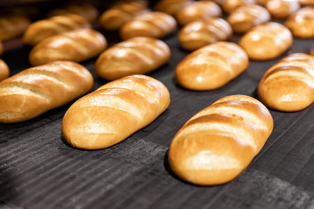 Baked breads on automatic production line bakery from hot oven