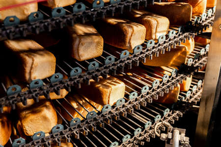 Fresh hot baked breads on automated production line bakery. Manufacture industrialの写真素材