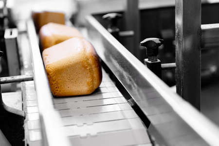 Automatic production line bakery Baked breads from hot ovenの写真素材