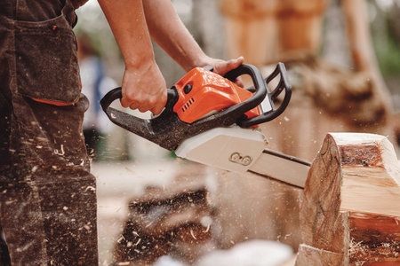 Close-up of woodcutter lumberjack is man chainsaw tree