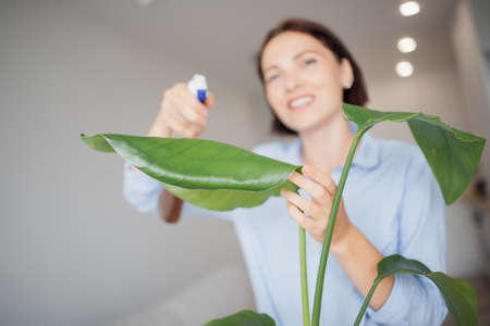 Happy young woman sprays fertilizer on leaves of houseplant for better growth and rich green colorの写真素材