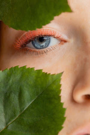 Creative macro photo of red eyelash extensions with green leaves and blue eyesの写真素材