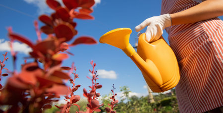 Happy gardener woman in apron watering garden. Concept summer hobby