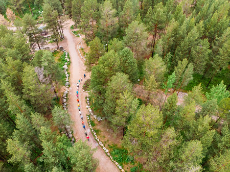 Nordic walking, senior active elderly people involved in sports go outdoor park. Aerial top view