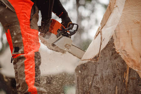Close-up of woodcutter lumberjack is man chainsaw treeの写真素材