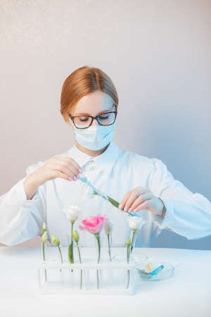 Scientist extracts oil syringe from flowers test natural cosmetics extract aroma. Buds leaf in glass flask. Biotechnology conceptの写真素材