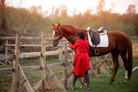 Equestrian sport Woman jockey holding horse by bridle outdoorsの写真素材