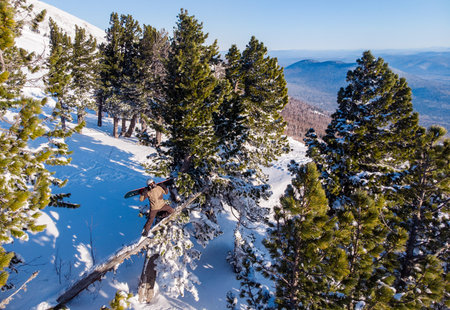Freeride Snowboarder rides through path fresh snow forest Off-piste slope. Aerial top view