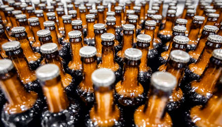 Brewery industry food factory manufacturing. Beer bottles on conveyor production lineの写真素材