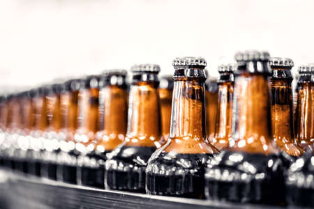 Brewery industry food factory manufacturing. Beer bottles on conveyor production lineの写真素材